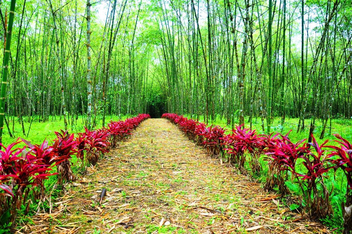 Hosteria Finca El Pigual ปูโย ภายนอก รูปภาพ